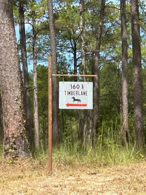 1077 NW A 2 Nw Timber Ln, Gloster, MS 39638 photo 2