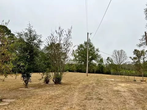 1036 Old Hwy 24 Oxford Rd, Gloster, MS 39638 photo 7