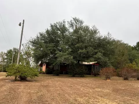 1036 Old Hwy 24 Oxford Rd, Gloster, MS 39638 photo 3