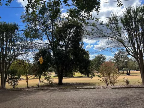 529 Duncan Ave, Natchez, MS 39120 photo 34