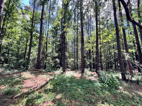 lot4 Lewis Ln, Meadville, MS 39653