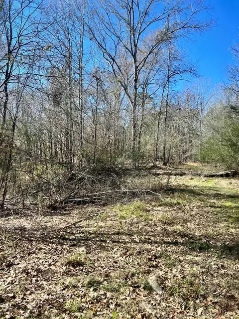 00 Crooked Creek Rd, Crosby, MS 39633
