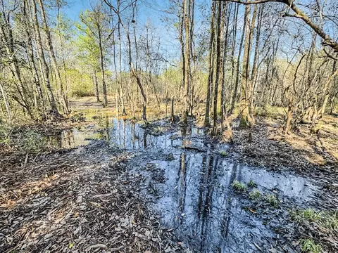 949-969 Benndale Rd, Wiggins, MS 39577 photo 42