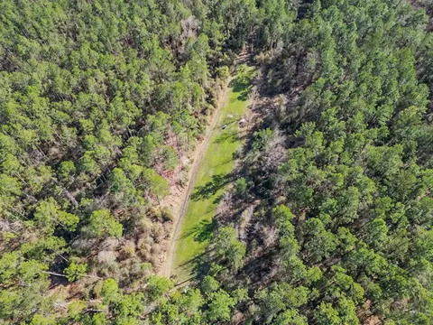 949-969 Benndale Rd, Wiggins, MS 39577 photo 8