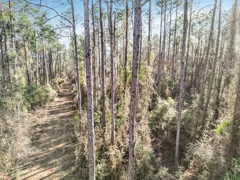 949-969 Benndale Rd, Wiggins, MS 39577 photo 12