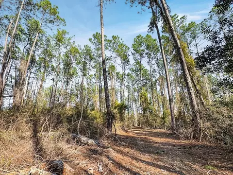 949-969 Benndale Rd, Wiggins, MS 39577 photo 40