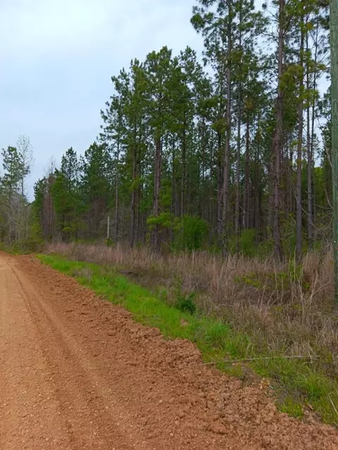 00 Hamburg Rd, Fayette, MS 39069