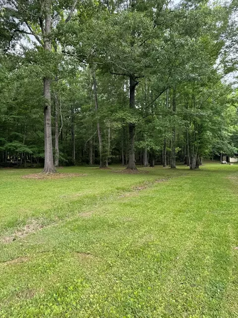 0 Benny Ln, Roxie, MS 39661 photo 13