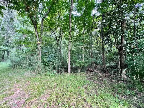 349 Cranfield Rd, Roxie, MS 39661 photo 35