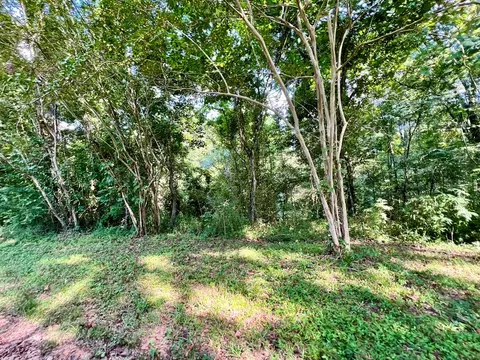 349 Cranfield Rd, Roxie, MS 39661 photo 6