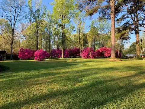 349 Cranfield Rd, Roxie, MS 39661 photo 4