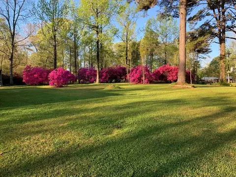 349 Cranfield Rd, Roxie, MS 39661 photo 2