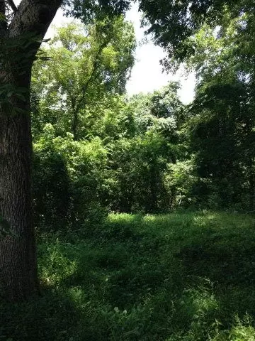 115 Rice Rd, Natchez, MS 39120 photo 1