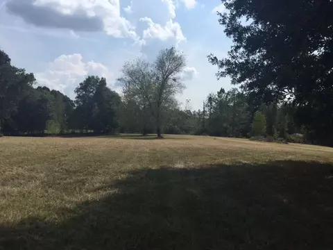 12 White Apple Rd, Natchez, MS 39120 photo 1
