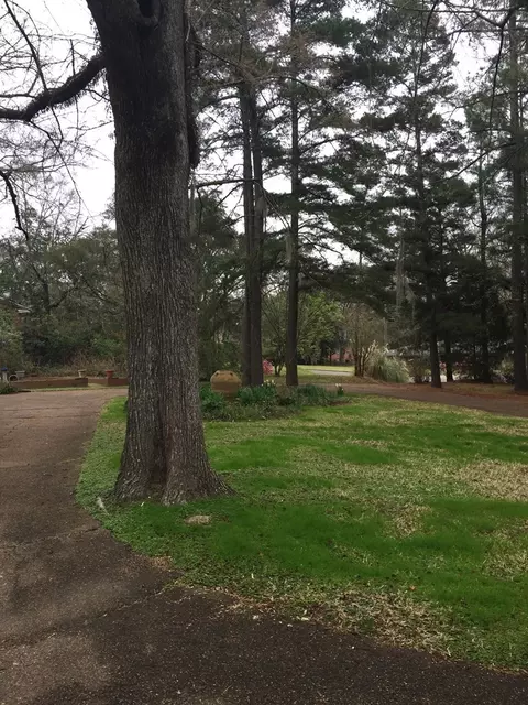 108 Dana Rd, Natchez, MS 39120 photo 39