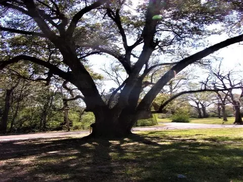 3 Linden, Natchez, MS 39120 photo 3