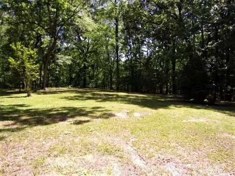 10 Hawkins, Natchez, MS 39120 photo 19