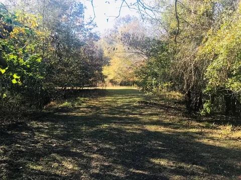 8 W Gloucester, Natchez, MS 39120 photo 31