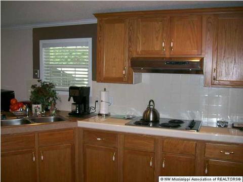 6975 Peyton Rd, Coldwater, MS 38618 photo 8