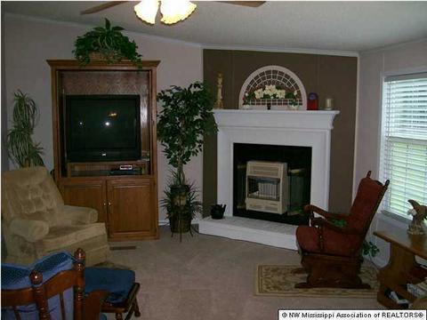 6975 Peyton Rd, Coldwater, MS 38618 photo 6