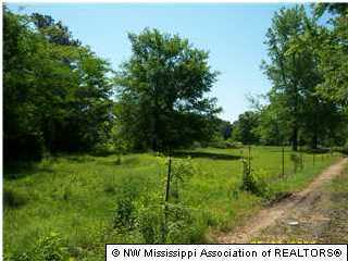 256 Malone, Hernando, MS 38632 photo 1