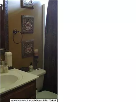 1430 Hernando Pointe Cv, Hernando, MS 38632 photo 10