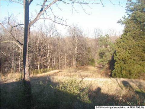 744 Bluff Rd, Coldwater, MS 38618 photo 12