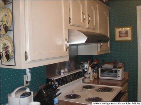 744 Bluff Rd, Coldwater, MS 38618 photo 8