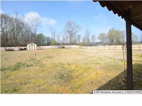 2645 Emerald Way Dr, Hernando, MS 38632 photo 14