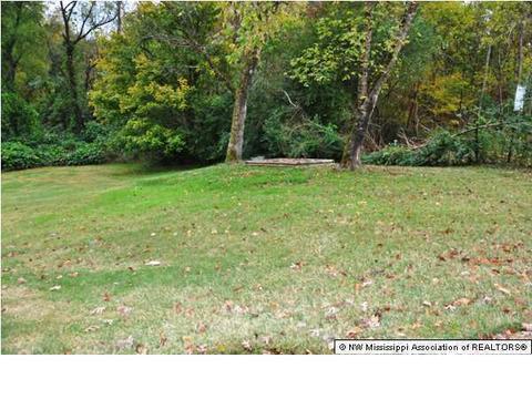 4898 Huron, Nesbit, MS 38651 photo 28