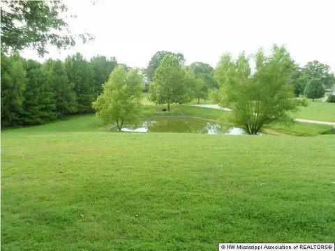 2625 Foxwood Cir, Hernando, MS 38632 photo 6