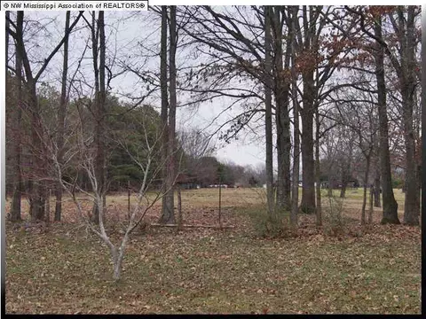 2625 Foxwood Cir, Hernando, MS 38632 photo 18