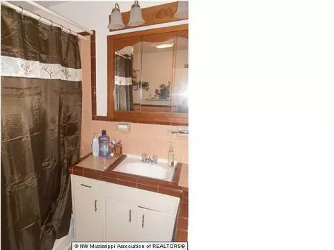 225 Truslow Rd, Sarah, MS 38665 photo 10
