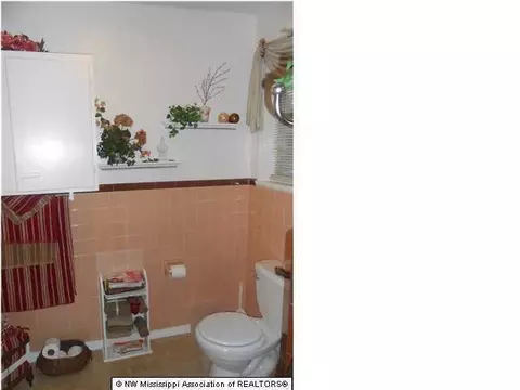 225 Truslow Rd, Sarah, MS 38665 photo 9