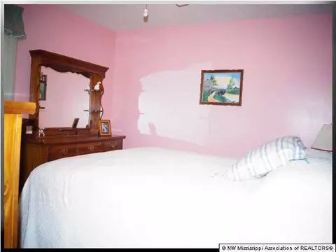 3758 Windermere, Nesbit, MS 38651 photo 8