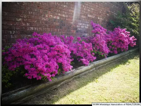 3758 Windermere, Nesbit, MS 38651 photo 11