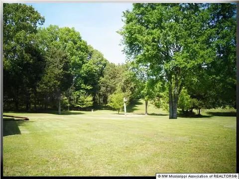 3758 Windermere, Nesbit, MS 38651 photo 10