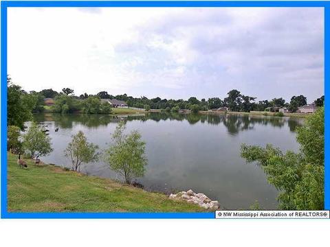 10801 Oak Leaf Dr, Olive Branch, MS 38654 photo 14