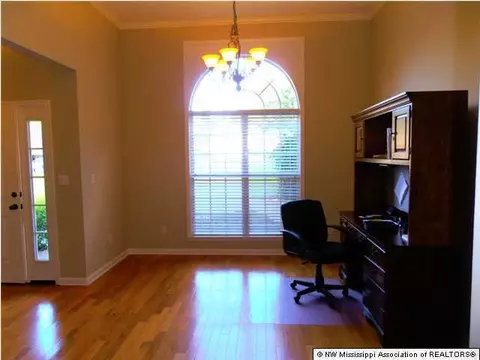 201 Palmer Cv, Hernando, MS 38632 photo 3