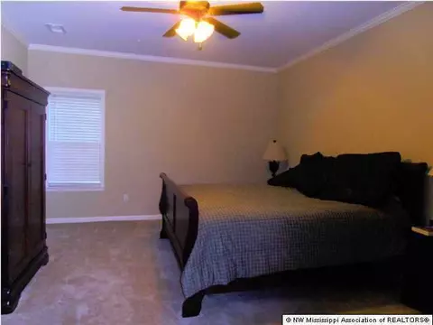 201 Palmer Cv, Hernando, MS 38632 photo 14