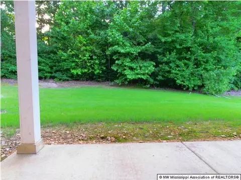 201 Palmer Cv, Hernando, MS 38632 photo 12