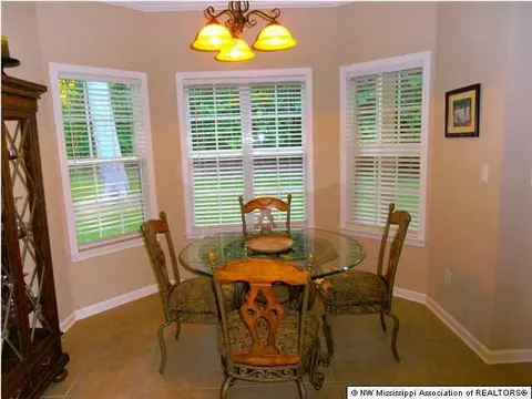 201 Palmer Cv, Hernando, MS 38632 photo 4