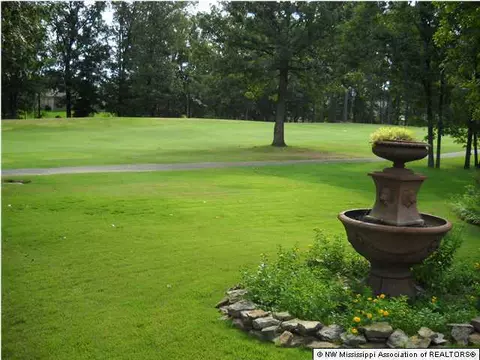 790 Fairway Trl, Hernando, MS 38632 photo 23