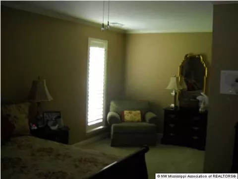 790 Fairway Trl, Hernando, MS 38632 photo 10