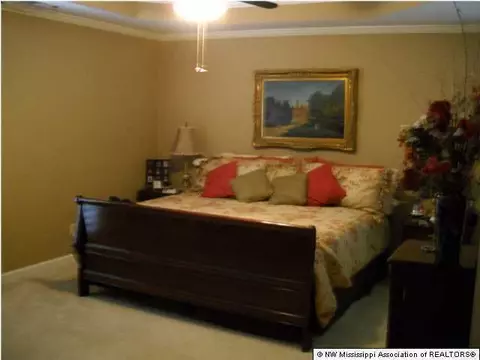 790 Fairway Trl, Hernando, MS 38632 photo 9