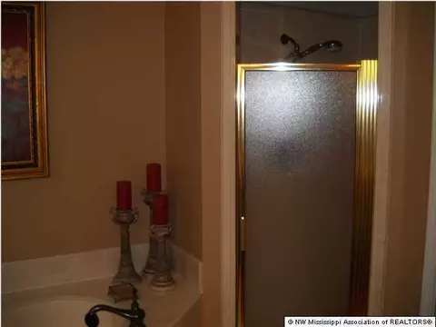 790 Fairway Trl, Hernando, MS 38632 photo 13