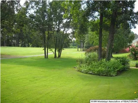 790 Fairway Trl, Hernando, MS 38632 photo 24
