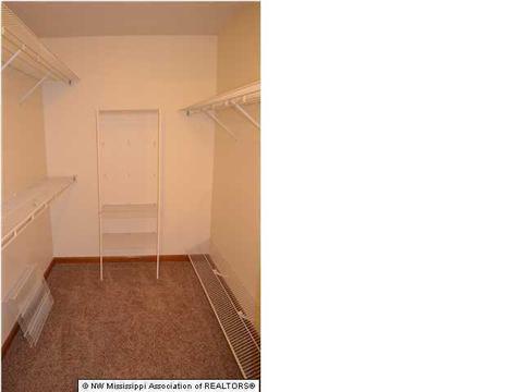 4041 Crystal Ct, Nesbit, MS 38651 photo 11