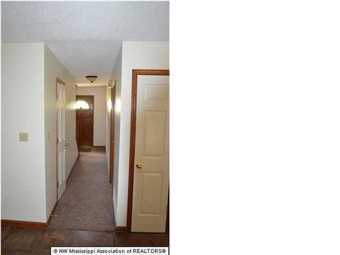 4041 Crystal Ct, Nesbit, MS 38651 photo 5