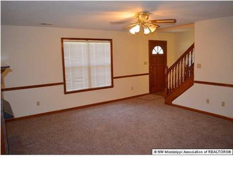 4041 Crystal Ct, Nesbit, MS 38651 photo 3